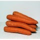 Zanahorias - - Verduras -2- Lo mejor de la fruta