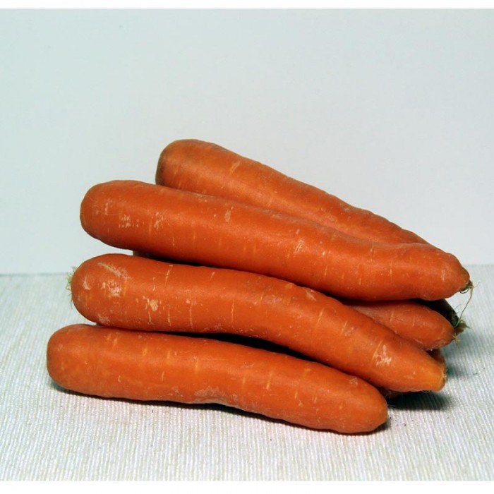 Zanahoria - Verduras -2- Lo mejor de la fruta