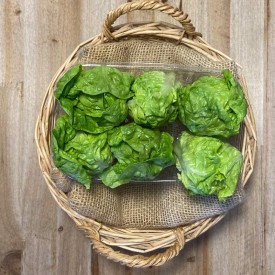 Corazones de Lechuga - Verduras -1- Lo mejor de la fruta