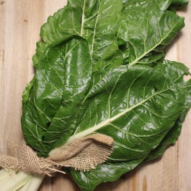 Acelgas - Verduras -1- Lo mejor de la fruta