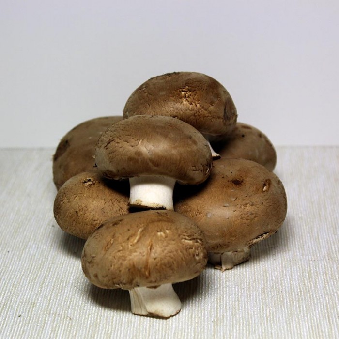 Champiñón Portobello - Setas y hongos -2- Lo mejor de la fruta