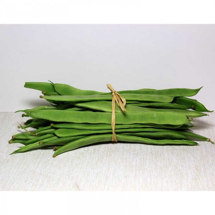 Judías Anchas - Verduras -3- Lo mejor de la fruta