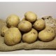 Patatas Spunta Vega baja - - Patatas, Cebollas y Ajos -2- Lo mejor de la fruta