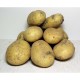 Patatas Spunta Vega baja - - Patatas, Cebollas y Ajos -3- Lo mejor de la fruta