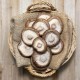 Setas Shiitake - Setas y hongos -1- Lo mejor de la fruta