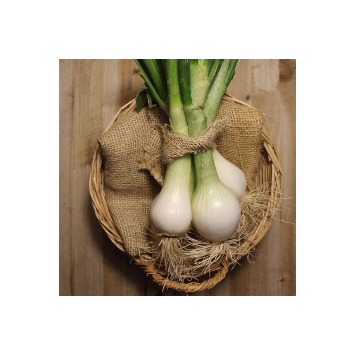 Cebollas Tiernas - Patatas, Cebollas y Ajos -1- Lo mejor de la fruta