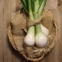 Cebollas Tiernas - Patatas, Cebollas y Ajos -1- Lo mejor de la fruta