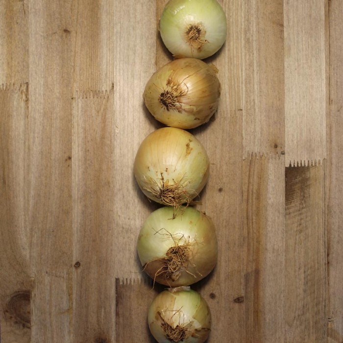 Cebollas Secas - Patatas, Cebollas y Ajos -4- Lo mejor de la fruta