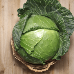 Col Lisa - Verduras -1- Lo mejor de la fruta