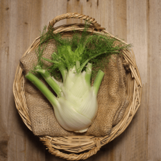 Hinojo fresco - Verduras y Hortalizas -1- Lo mejor de la fruta