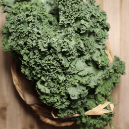 Kale - Verduras -1- Lo mejor de la fruta