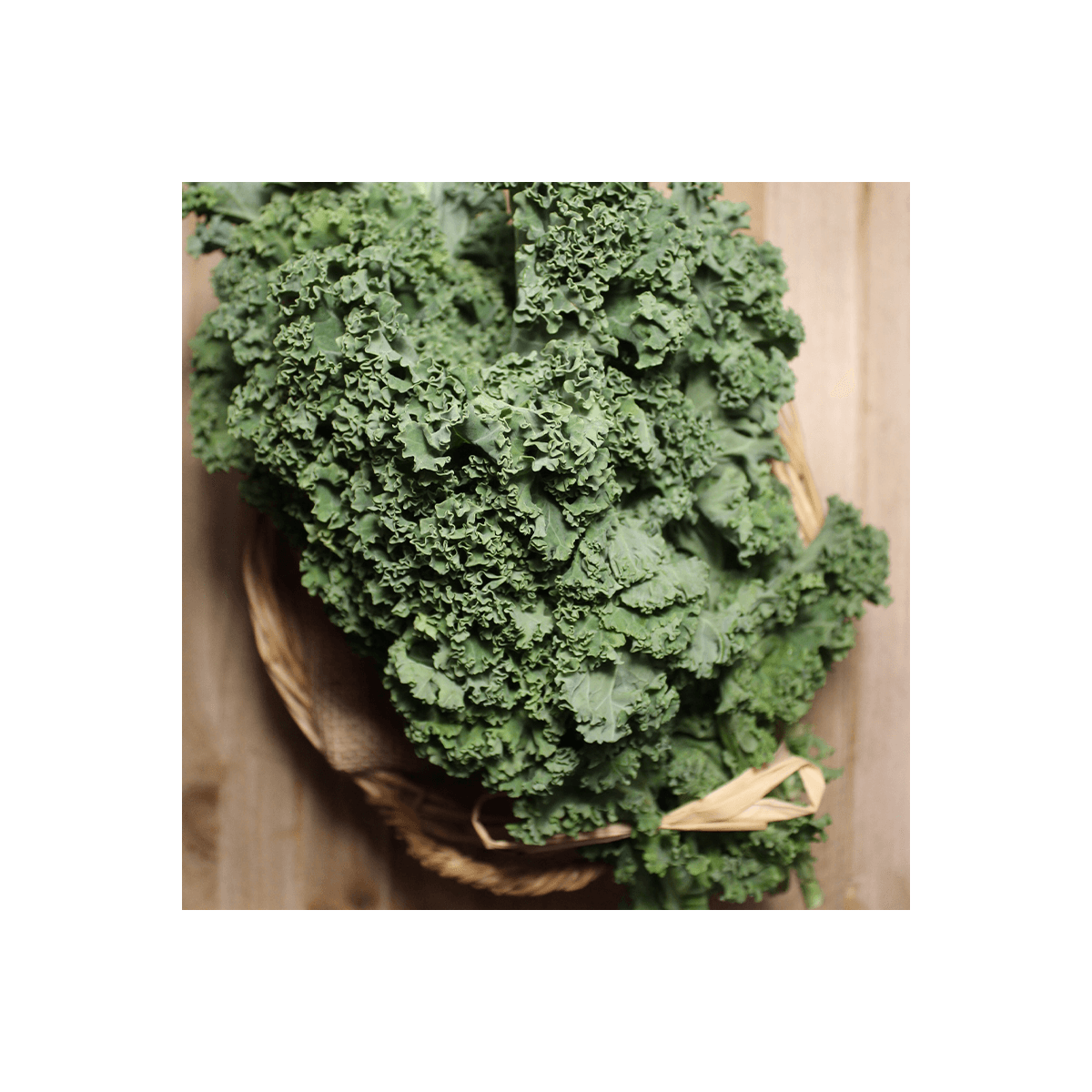 Kale - Verduras -1- Lo mejor de la fruta