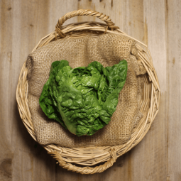 Lechugas Baby - Verduras -1- Lo mejor de la fruta