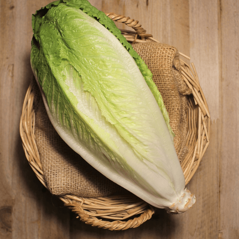 Lechugas Romana - Verduras -1- Lo mejor de la fruta