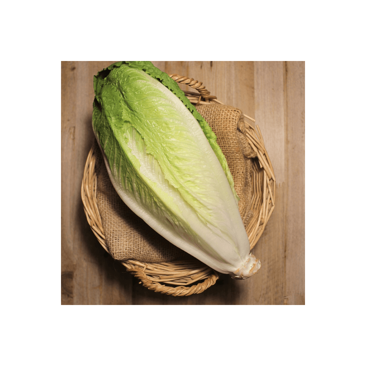 Lechugas Romana - Verduras -1- Lo mejor de la fruta