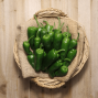 Pimiento Padrón - Verduras -1- Lo mejor de la fruta