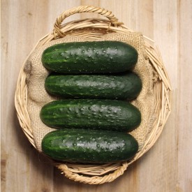 Pepinos Tiernos - Verduras -1- Lo mejor de la fruta