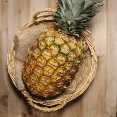 Piñas Maduradas en planta - Tropicales -1- Lo mejor de la fruta