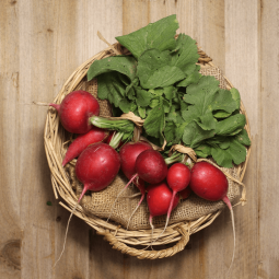 Rábanos Dulces. - Verduras -1- Lo mejor de la fruta