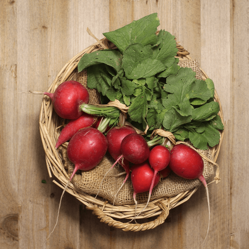 Comprar - Rábanos - Verduras -1- Lo mejor de la fruta