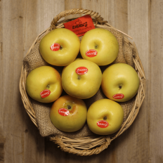 Manzana Verde Donzella - Manzanas, Peras y Plátanos -1- Lo mejor de la fruta