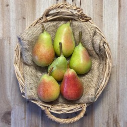 Peras Ercolini - Fruta de Temporada -1- Lo mejor de la fruta