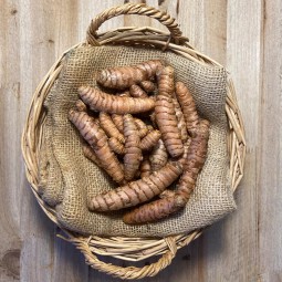 Cúrcuma Ecológica - Hierbas Aromáticas -1- Lo mejor de la fruta