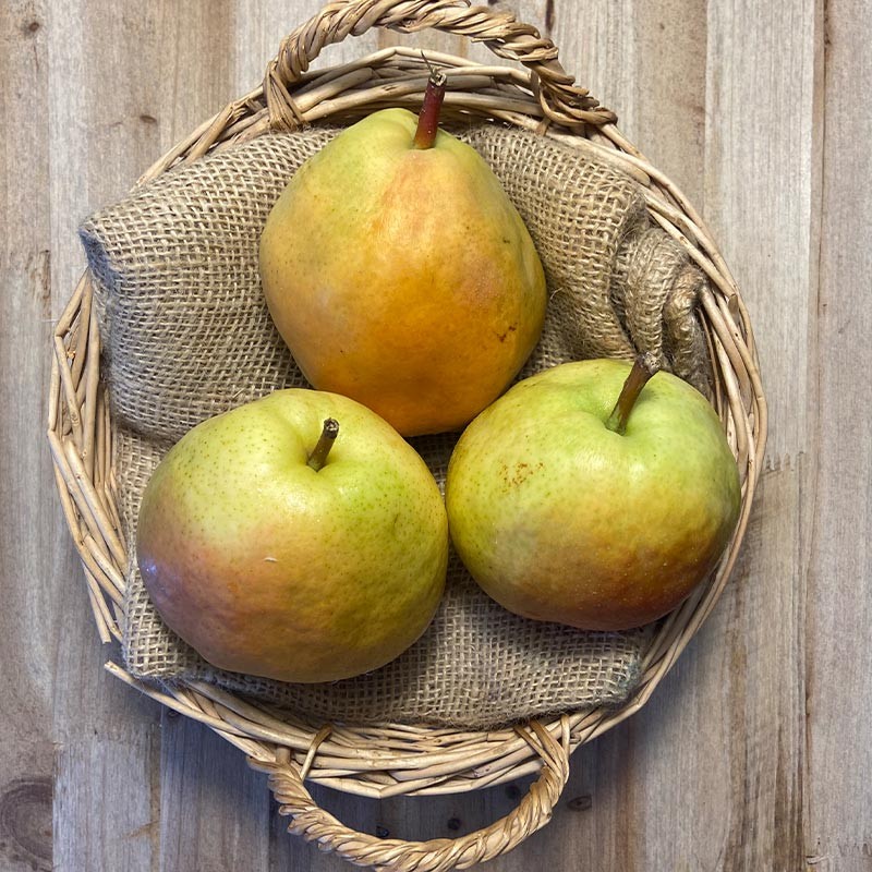 Pera Flor de Invierno - Manzanas, Peras y Plátanos -4- Lo mejor de la fruta