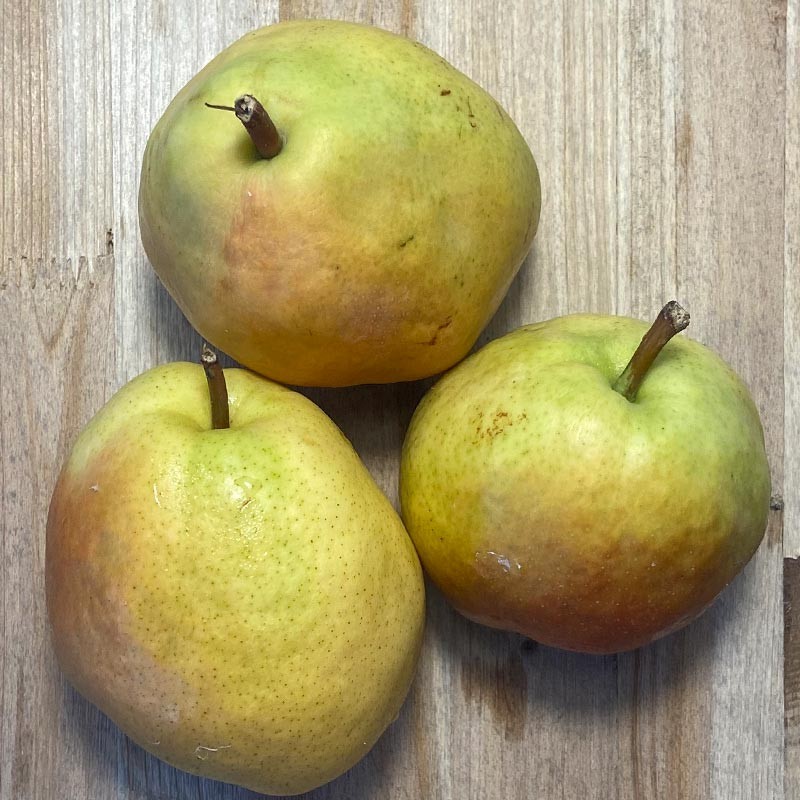 Pera Flor de Invierno - Manzanas, Peras y Plátanos -2- Lo mejor de la fruta