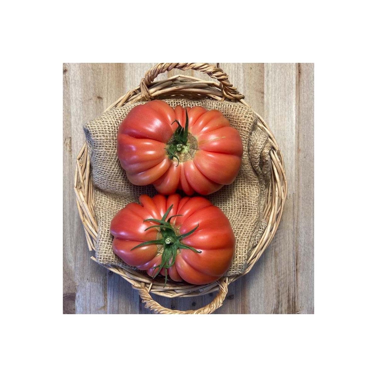 Tomates Rosas - Selección de Tomates -1- Lo mejor de la fruta