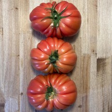 Tomates Rosas - Selección de Tomates -2- Lo mejor de la fruta