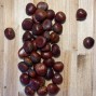 Castañas Extra - Frutos Secos -2- Lo mejor de la fruta