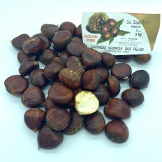 Castañas Extra - Frutos Secos -3- Lo mejor de la fruta