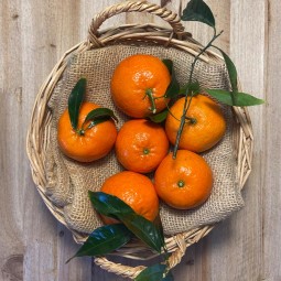 Mandarinas clementinas - Cítricos -1- Lo mejor de la fruta