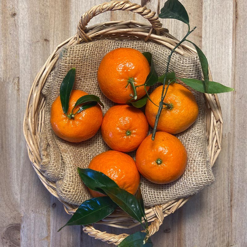 Mandarinas clementinas - Cítricos -1- Lo mejor de la fruta