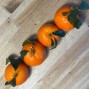 Mandarinas clementinas - Cítricos -2- Lo mejor de la fruta