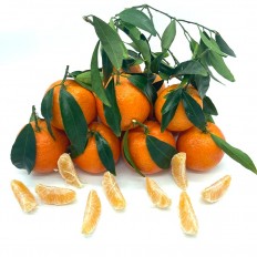 Mandarinas clementinas - Cítricos -3- Lo mejor de la fruta