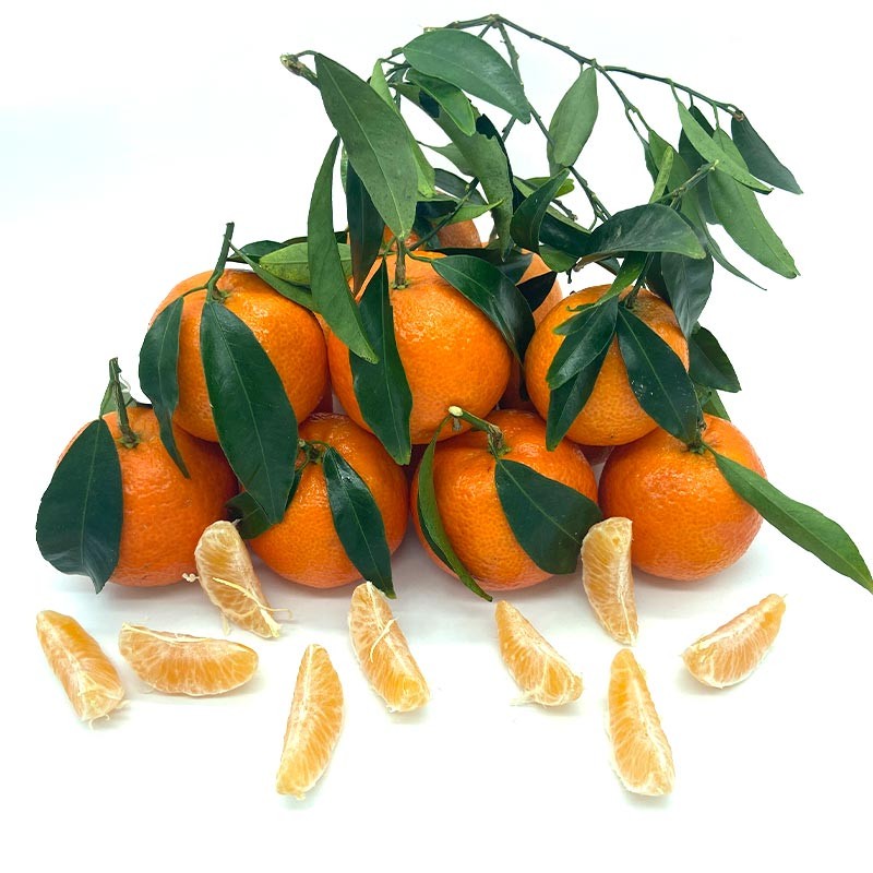 Mandarinas clementinas - Cítricos -3- Lo mejor de la fruta