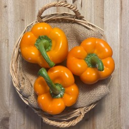 Pimientos Naranjas - Todas Las Verduras y Hortalizas -1- Lo mejor de la fruta