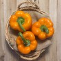 Pimientos Naranjas - - Todas las Verduras y Hortalizas -1- Lo mejor de la fruta