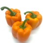 Pimientos Naranjas - Todas Las Verduras y Hortalizas -2- Lo mejor de la fruta
