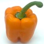Pimientos Naranjas - Todas Las Verduras y Hortalizas -3- Lo mejor de la fruta