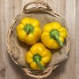 Pimientos Amarillos - Verduras -1- Lo mejor de la fruta