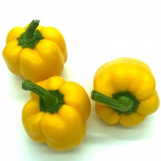 Pimientos Amarillos - - Verduras -2- Lo mejor de la fruta