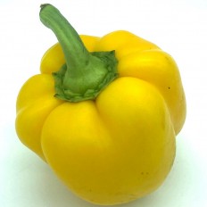 Pimientos Amarillos - - Verduras -3- Lo mejor de la fruta