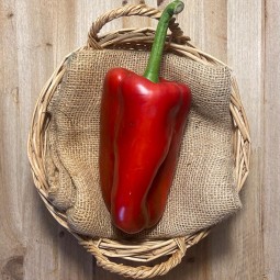 Pimientos Rojos - Verduras -1- Lo mejor de la fruta