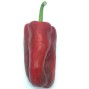 Pimientos Rojos - - Verduras -3- Lo mejor de la fruta