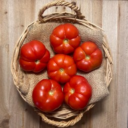 Tomates Raf Maduro - Selección de Tomates -1- Lo mejor de la fruta