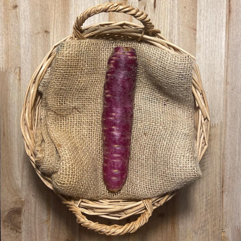 Zanahorias Moradas - Verduras -2- Lo mejor de la fruta