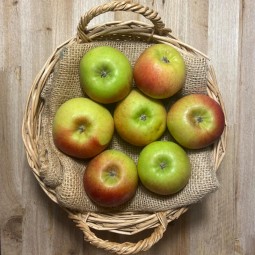 Manzanas Benejama - Manzanas, Peras y Plátanos. -1- Lo mejor de la fruta